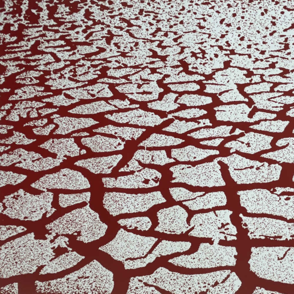 Red Cracked Earth